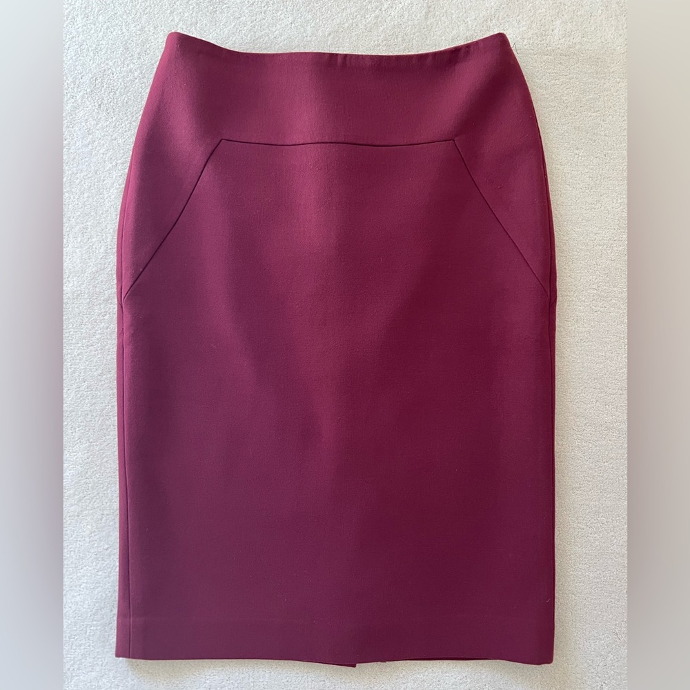 Ann Taylor Skirt